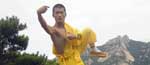 tang lang quan 2